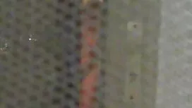 البعض افلام سكسي متر ...