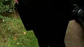 الجنس المكسيكي الأكث ...