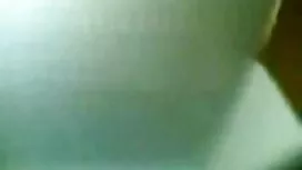 السيبوتون الأسود يدم ...