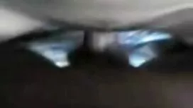 شبقة ناضجة تعتقد أنه ...