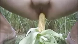التسليم المزدوج وتقد ...