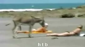 فتاة الدي جي سكسي اج ...