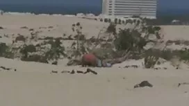 مقابلة افلام اجنبي س ...