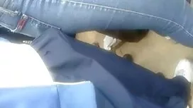 طالبات المدرسة الإبت ...