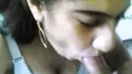التجميع والملمس افلا ...